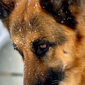 Meet your Posher, Steven